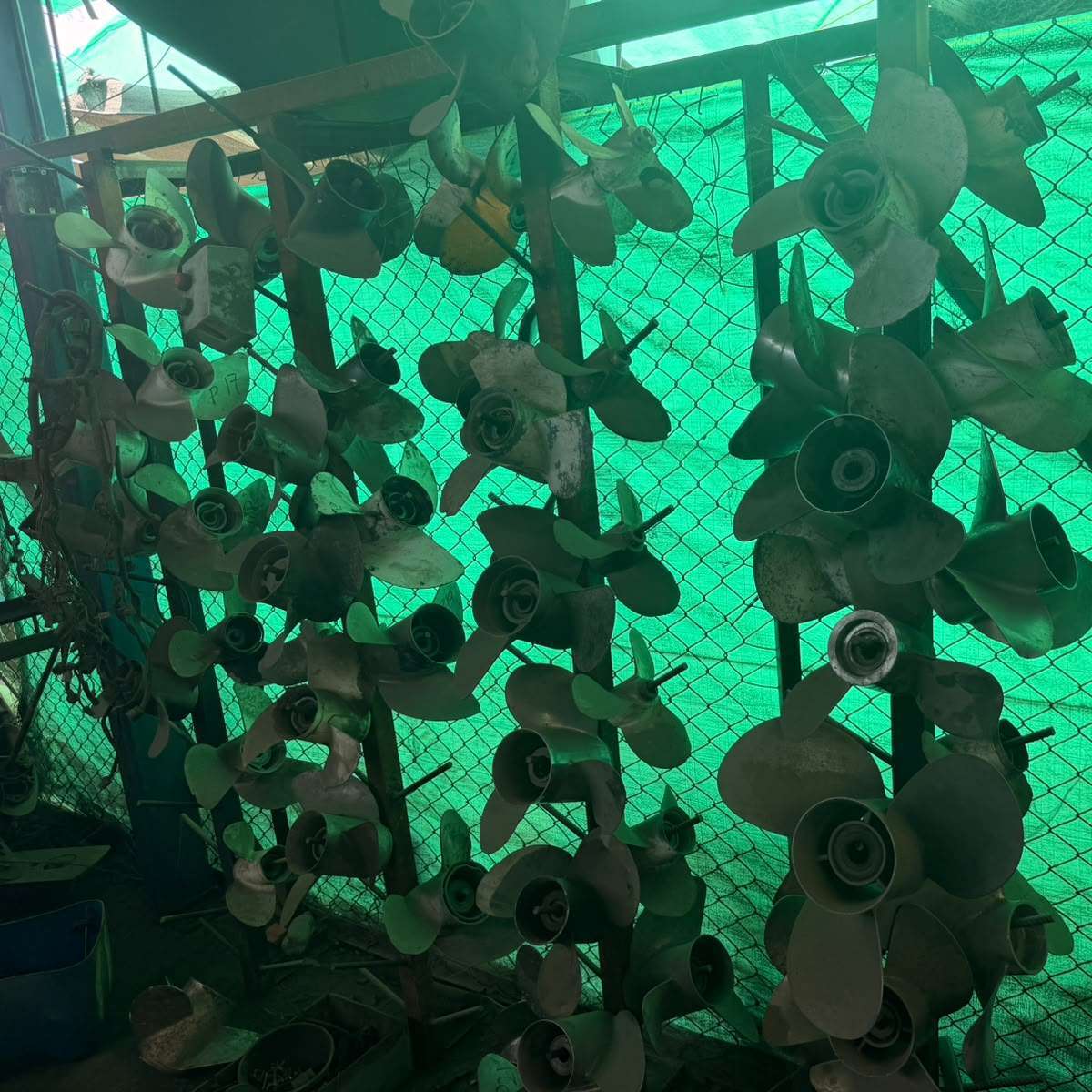 Lote de 50 propelas diferentes pasos